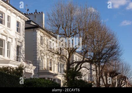 A street of luxurious Regency era townhouses on Belsize Park gardens, Belsize Park, London Borough of Camden, London, United Kingdom Stock Photo