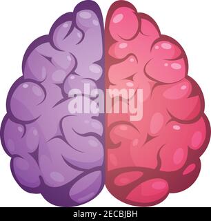 Human brain two different colored symbolic left and right cerebral hemispheres model image icon abstract vector illustration Stock Vector