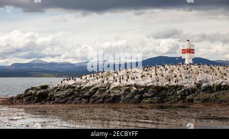 A landscape featuring dozens of cormorants and seagulls next to a beacon (lighthouse) on a tiny rock island in the Beagle Channel, Tierra del Fuego Stock Photo