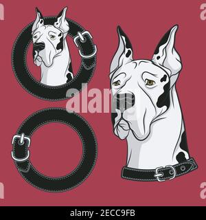 Set of color vector drawing of the dog in the collar. Isolated objects. Stock Vector