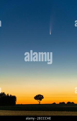 The comet Neowise in the sky in 2020 before dawn Stock Photo