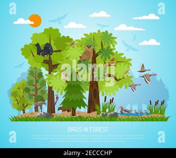 Forest poster with different trees pond various birds and few animals on blue background flat vector illustration Stock Vector