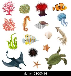 Set of sea life cartoon icons with fish coral seaweed shell  invertebrate vector illustration Stock Vector