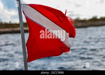 Dive flag flying from the back of a boat Stock Photo