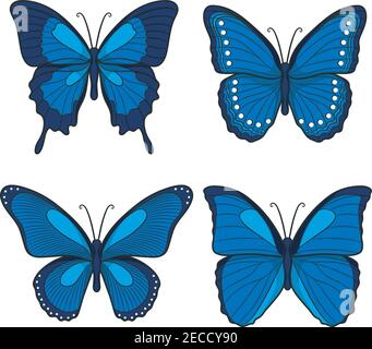 Set of blue vector butterflies. Isolated objects on a white background. Stock Vector