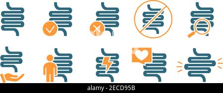 Set of human intestine grey icon. Healthy internal organ, digestive ...