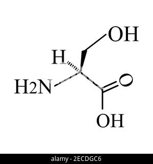 Serine amino acid. Chemical molecular formula Serine amino acid. Vector illustration on isolated background Stock Vector