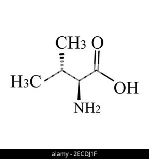 Isoleucine amino acid. Chemical molecular formula isoleucine amino acid. Vector illustration on isolated background Stock Vector