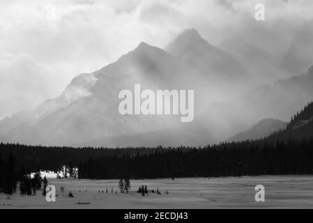 Black and white views across a snowy winter landscape of Kananaskis Country in Alberta, Canada. Stock Photo