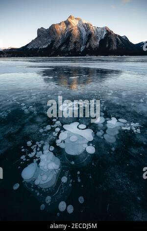The abstract methane ice bubbles of Abraham Lake as Mount Michener catches the last rays on sunlight in the evening. Stock Photo