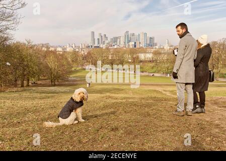 Young woman cuddle to a man holding coffee  looking at their pet poodle dressed in quilt overlooking canary wharf financial centre of London dockland Stock Photo