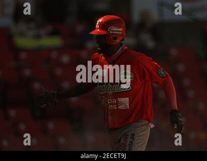 MAZATLAN, MEXICO - JANUARY 31: Vimael Machin of Puerto Rico during the game  between Puerto Rico and Dominican Republic as part of Serie del Caribe 2021  at Teodoro Mariscal Stadium on January