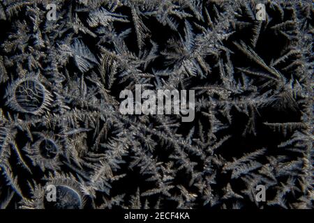 Macro of various abstract shapes of ice crystals on a glass window with black background Stock Photo