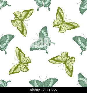 Seamless pattern with hand drawn pastel emerald swallowtail, swallowtail butterfly Stock Vector