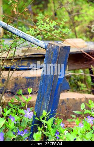 Blue wooden post refuses to give into the weeds and bushes overgrowing this derelict porch and steps. Stock Photo