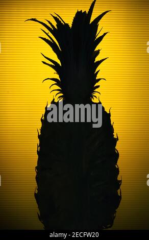 A silhouette of a fresh pineapple cut in half standing against a yellow background Stock Photo