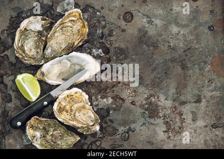 Fresh opened oyster with lime on ice. Gourmet seafood Stock Photo