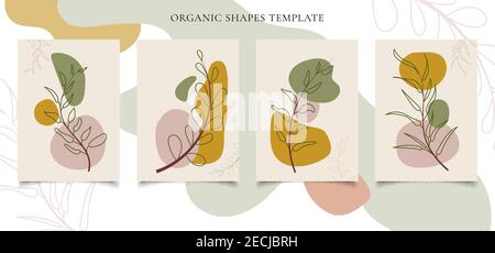 Set of brochure or poster template contemporary botanical wall art Abstract leaves foliage organic shapes on white background. You can use for wallpap Stock Vector