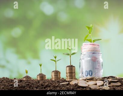 Turkish coins in a glass jar. Young plants growing on coins. Investment and Finance Concept Stock Photo