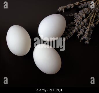Three white eggs on a dark background with lavender. View from above. Easter eggs. Stock Photo