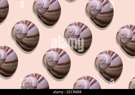 Top view Pink sea shell on light background. Summer season and sea vacation concept. Nature background.  Stock Photo