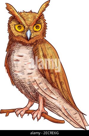 Night owl with big yellow eyes sitting on tree branch. Vector isolated color sketch icon for elements of Halloween decoration design Stock Vector
