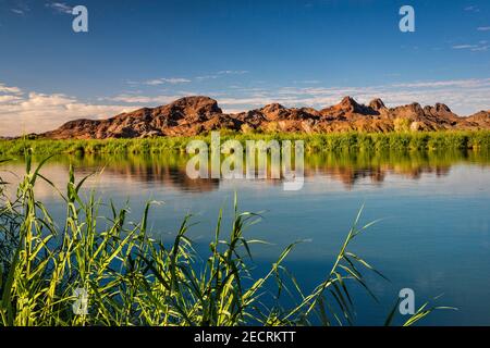 Trigo Mountains in Arizona, view across Colorado River from Picacho State Recreation Area, Sonoran Desert, near Yuma, California, USA Stock Photo