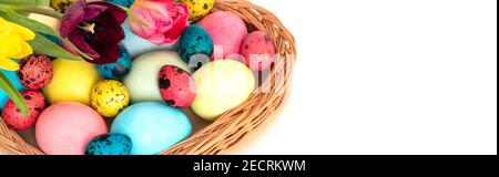 Easter banner with colorful painted eggs in a basket isolated on a white background. Space for text. Easter card. Stock Photo