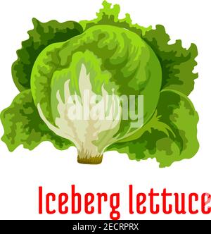 Iceberg lettuce vegetable icon with fresh crisp green leaves. Diet nutrition, vegetarian food, salad menu, organic farming design. Cartoon style Stock Vector