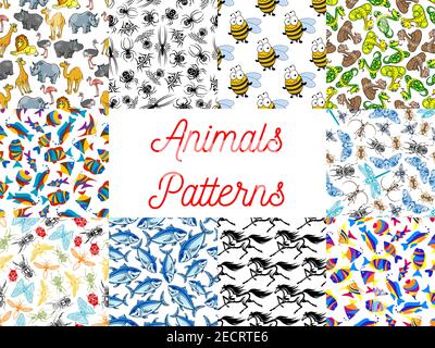 Animals seamless backgrounds set. Wallpapers with pattern of zoo camel, lion, flamingo, rhinoceros, hippopotamus, giraffe, ostrich. Insects fly, drago Stock Vector