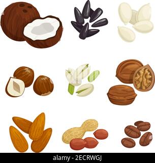 Nuts, grain and kernels. Vector icons of coconut, almond, pistachio, sunflower seeds, pumpkin seeds, peanut, hazelnut walnut coffee beans Stock Vector