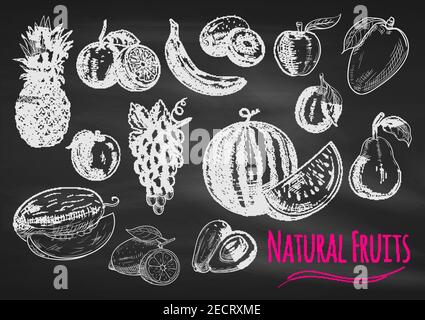 Fruits chalk sketch on blackboard. Isolated vector icons of exotic and tropical pineapple, orange, apple, melon, lemon, banana, grape, avocado, waterm Stock Vector