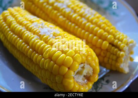 Tasty yellow boiled Ukrainian two pumpkins of corn and salt laid out on plates with green flowers. Stock Photo