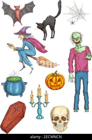 Halloween walking undead zombie, witch flying on broom, vampire coffin, pumpkin, cauldron potion, candle stick, skull, black hag cat, spider web, bat. Stock Vector