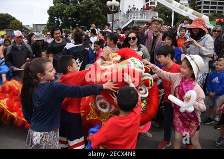 chinese new year in wellington