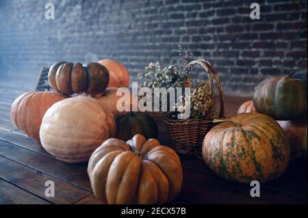 Pumpkins and teddy bear, nobody, exorcism concept Stock Photo