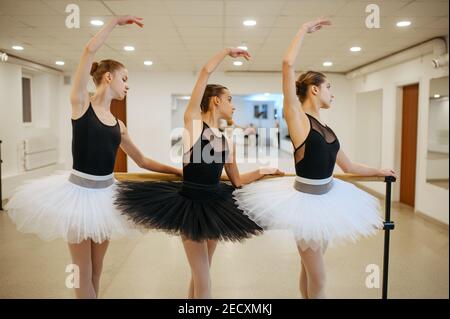 Elegant ballerinas, performing at barre in class Stock Photo