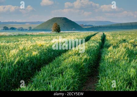 Silbury Hill prehistoric artificial chalk mound near Avebury, England Stock Photo