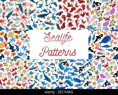 Sea life animals and fishes seamless patterns. Vector cartoon pattern of happy cute seahorse, dolphin, whale, jellyfish, shrimp, octopus, penguin, squ Stock Vector