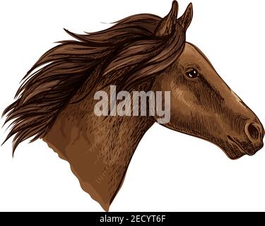 Brown horse head isolated sketch of running racehorse. Purebred arabian stallion for horse racing symbol, equestrian sport themes design Stock Vector