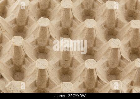 empty formed cardboard egg tray - closeup with edge-to-edge sharpness. Stock Photo