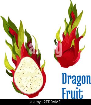 Exotic tropical dragon fruit icon. Vector element of red dragon fruit pitaya element whole and half cut. Design emblem for juice, product sticker labe Stock Vector