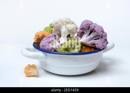Colored cauliflower in a bowl, white background, Germany Stock Photo