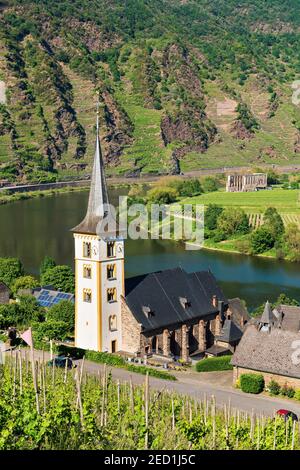 Winegrowing village Bremm at the Moselle with St. Laurentius church, in the back the monastery ruin Stuben, Bremm, Rhineland-Palatinate, Germany Stock Photo