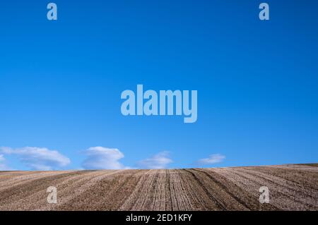 Bright blue skies over a brown field stretching to the horizon over a hill, with some small clouds visible. Stock Photo