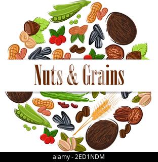 Nutritious nuts and grains in round shape emblem. Natural coconut, almond, pistachio, cashew, hazelnut, walnut, bean pod, peanut, sunflower, pumpkin s Stock Vector