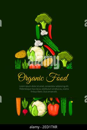 Organic vegetables food emblem of vegetable pattern of fresh vegan of cabbage, onion, kohlrabi, pepper, zucchini, leek, celery, daikon radish, carrot, Stock Vector