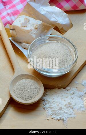 Baker's yeast, dry yeast in spoon and bowl and fresh yeast, compressed yeast, baking ingredient Stock Photo