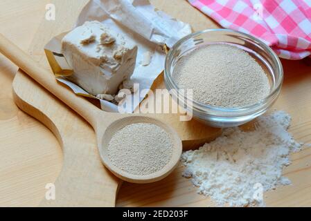 Baker's yeast, dry yeast in spoon and bowl and fresh yeast, compressed yeast, baking ingredient Stock Photo