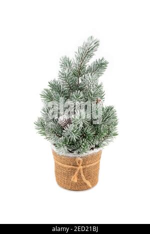 Homemade Christmas tree decoration with hoarfrost and cones set in a pot isolated on white background. Plastic Xmas tree in sackcloth flower pot isola Stock Photo